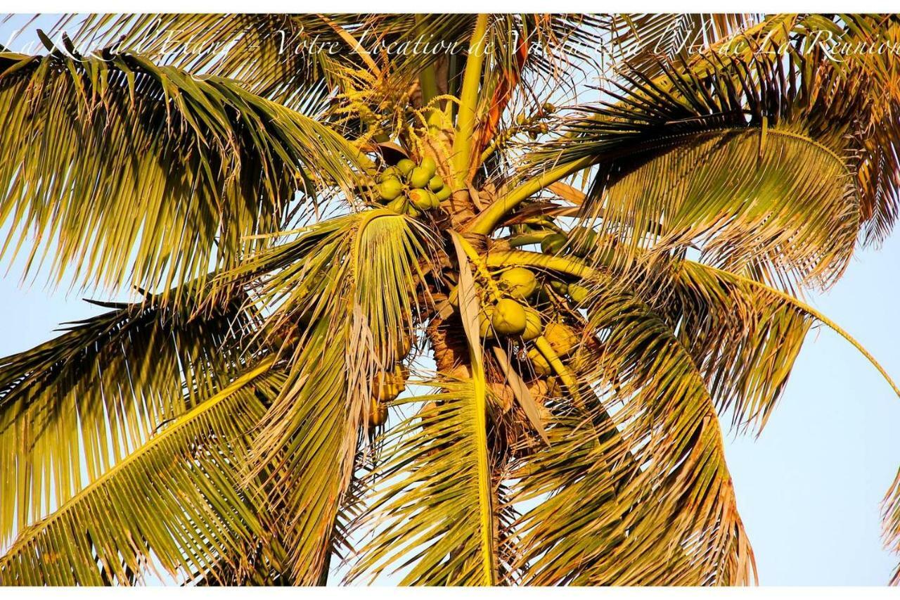 La Kaz A L'Etang - Votre Location De Vacances A L'Ile De La Reunion サン・ルイ エクステリア 写真