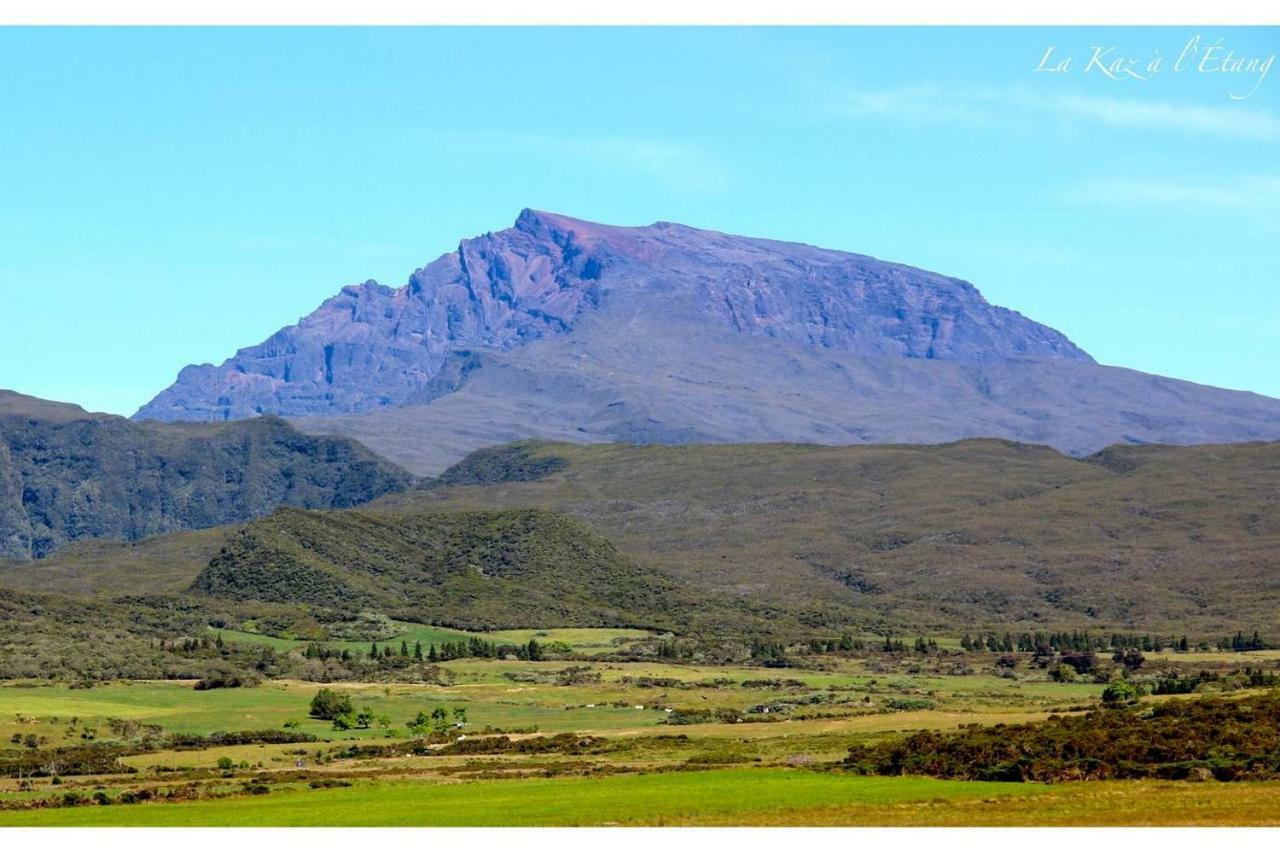 La Kaz A L'Etang - Votre Location De Vacances A L'Ile De La Reunion サン・ルイ エクステリア 写真