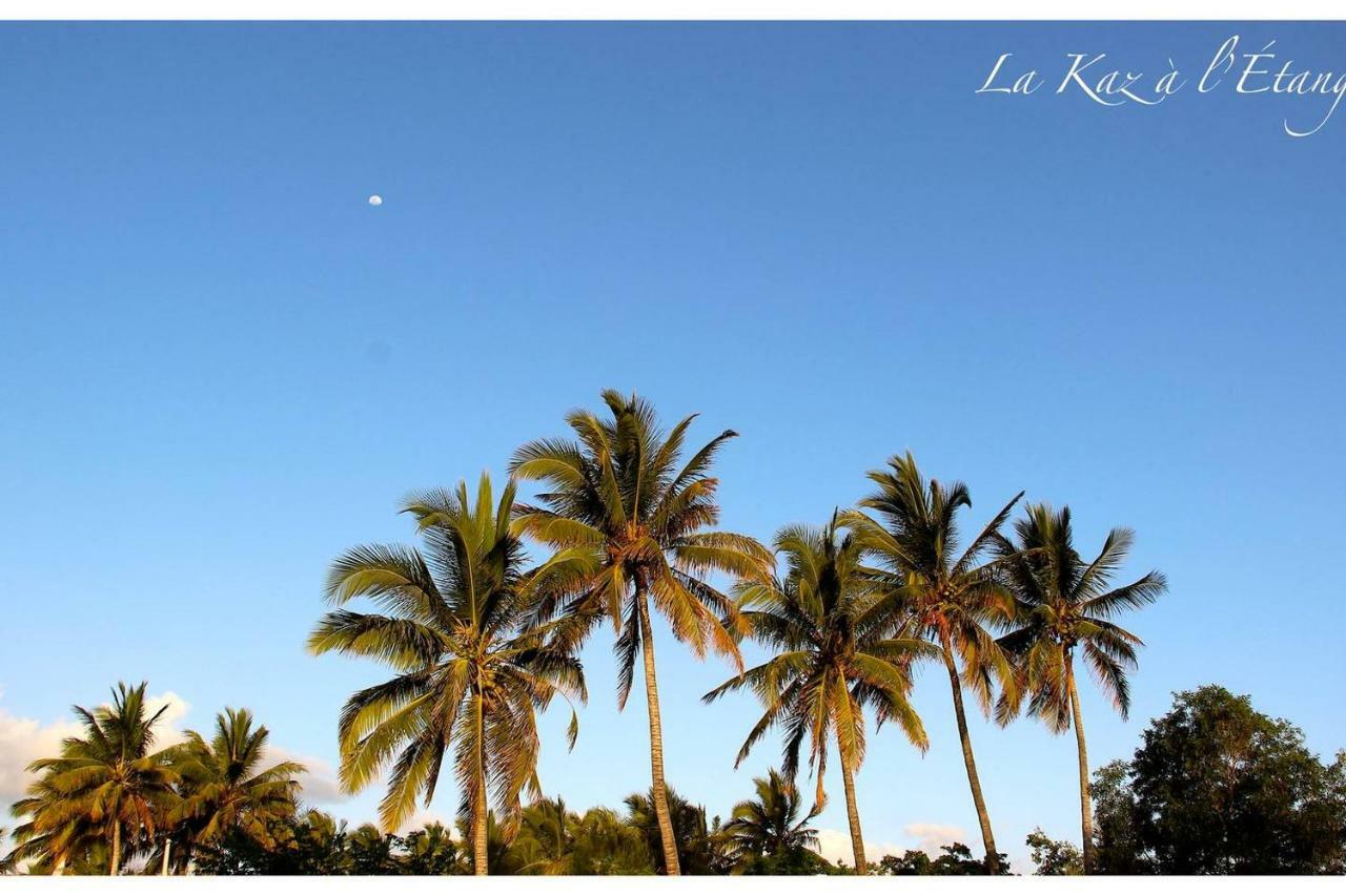 La Kaz A L'Etang - Votre Location De Vacances A L'Ile De La Reunion サン・ルイ エクステリア 写真